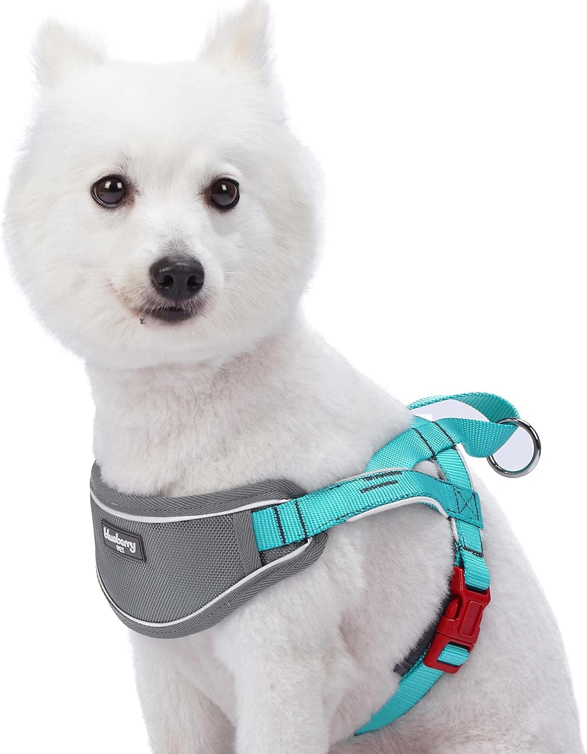 רתמה/רצועה לכלב — Blueberry Pet 8 Colors Soft &amp; Comfy 3M Reflective Strips Padded Dog Harness 