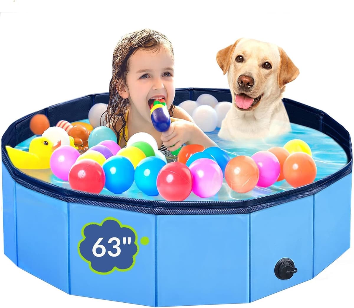 בריכה לכלב — Dog Pool, Foldable Pet Swimming Pool with 6mm High-Strength PP Board, Hard Plast