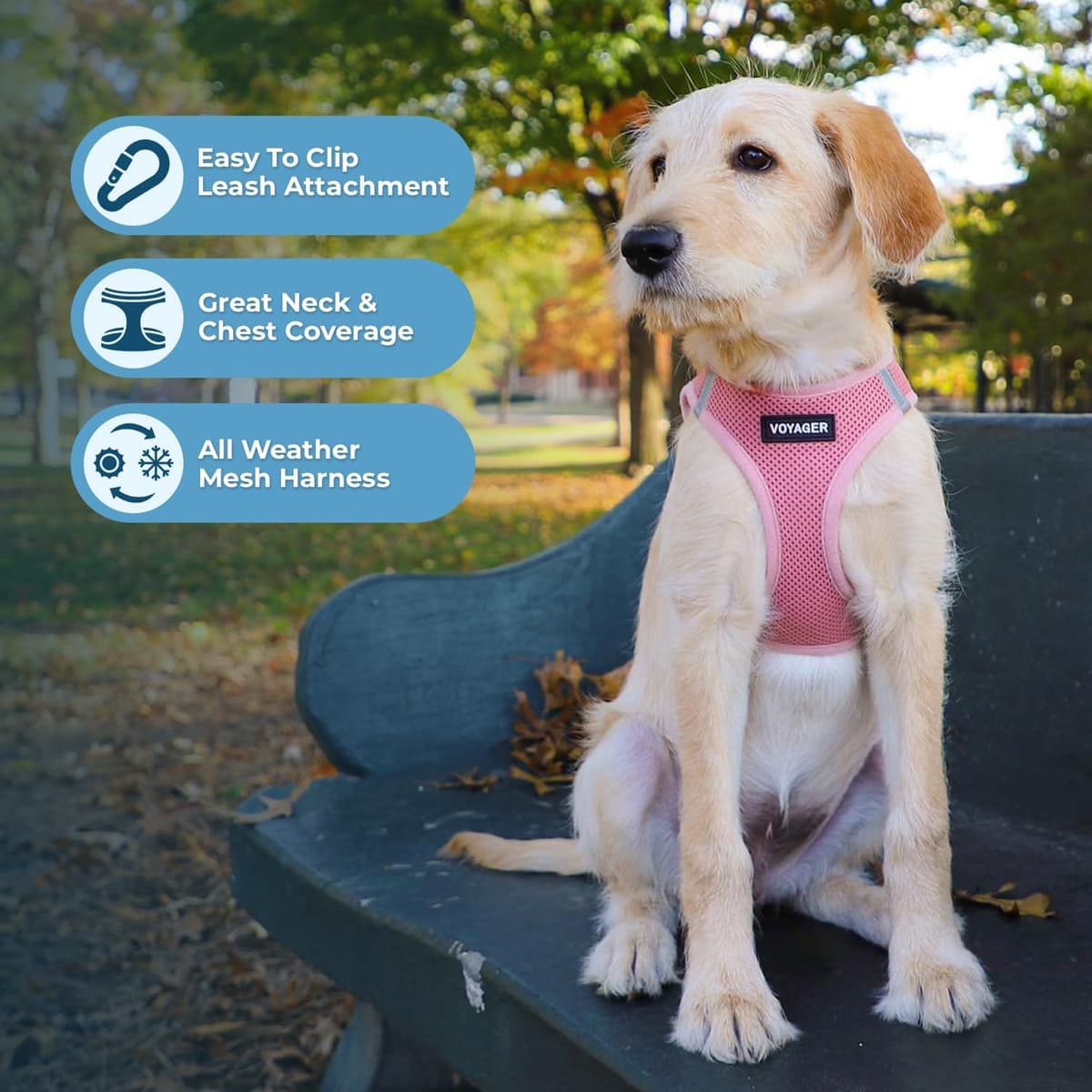 רתמה/רצועה לכלב — Best Pet Supplies Voyager Step-in Air Harness - All Weather Mesh, Reflective, No