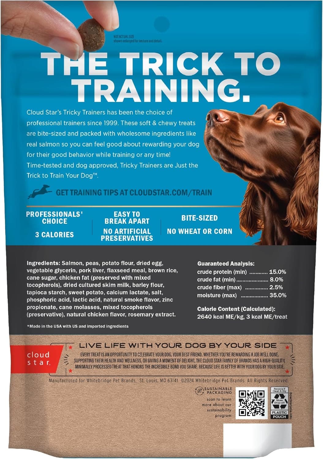 עזר אילוף לכלב — Cloud Star Tricky Trainers Chewy Dog Treats,Salmon,14 oz. Pouch,(Pack of 2)