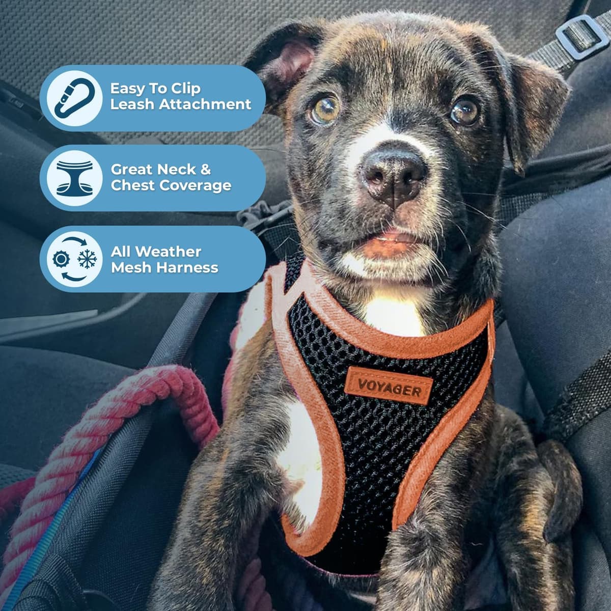 רתמה/רצועה לכלב — Voyager Step-in Air Dog Harness - All Weather Mesh Step in Vest Harness for Smal