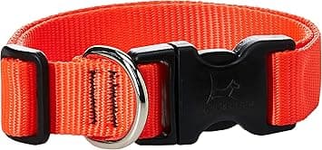 קולר לכלב — LupinePet Basics 1" Blaze Orange 12-20" Adjustable Collar for Medium and Larger 