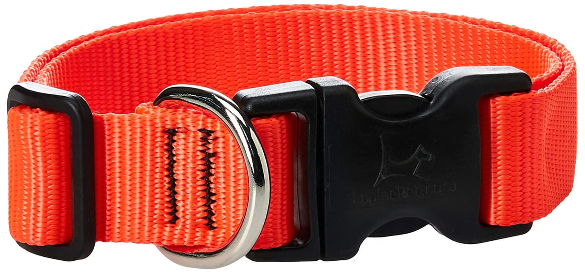 קולר לכלב — LupinePet Basics 1" Blaze Orange 12-20" Adjustable Collar for Medium and Larger 