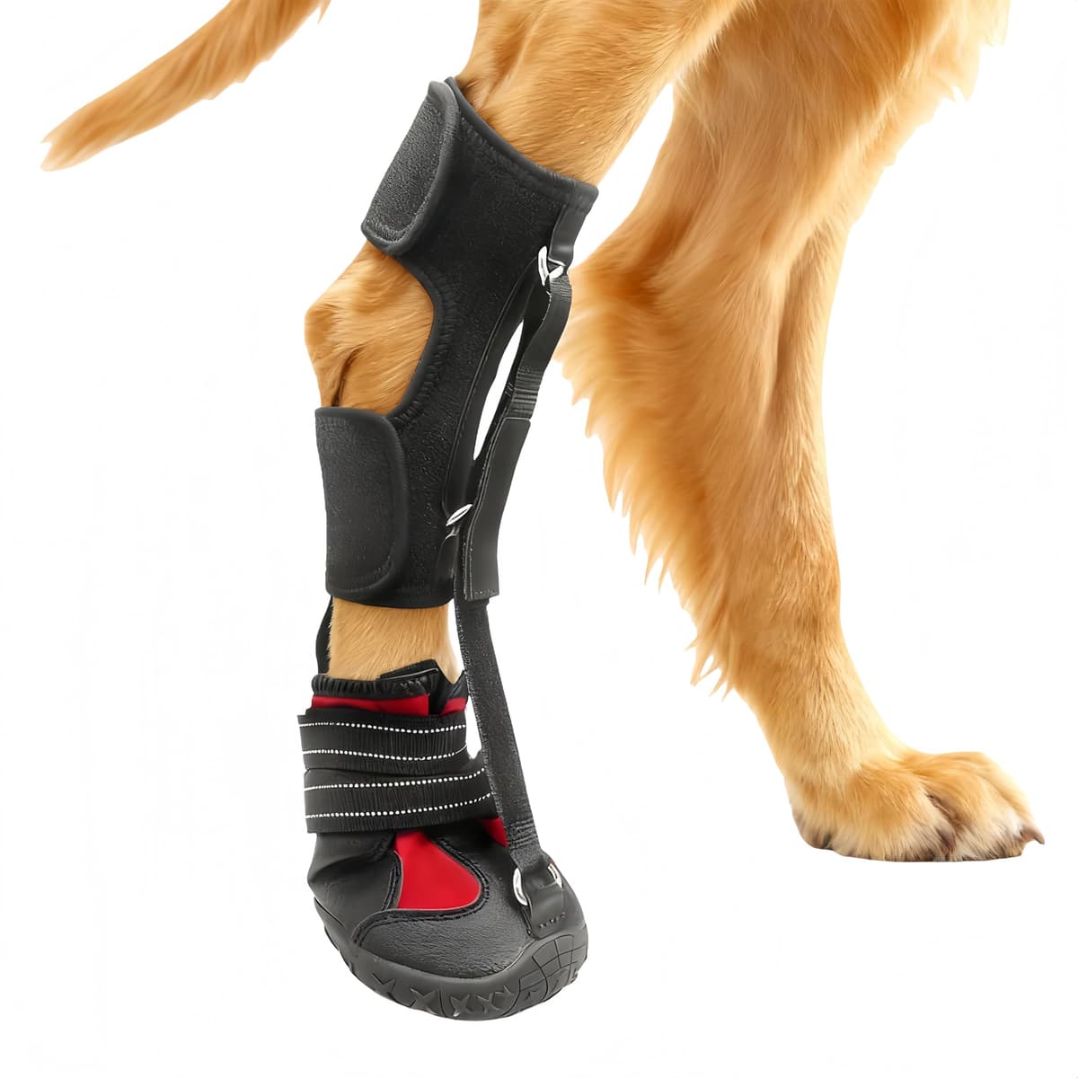 נעליים לכלב — Dog Booties for Winter and Paw Protectors, Dog Brace for Acl Tear, Lift Toes for