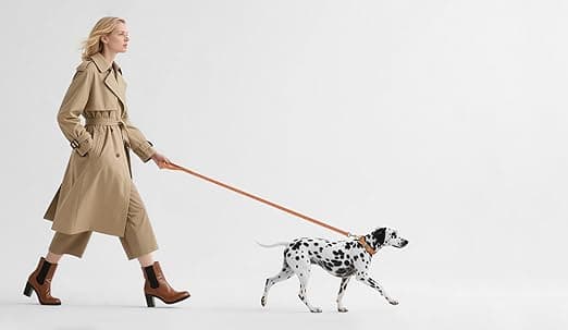 קולר לכלב — Didog Soft PU Leather Dog Collar, Stylish Quick Released Dog Collar for Large Do