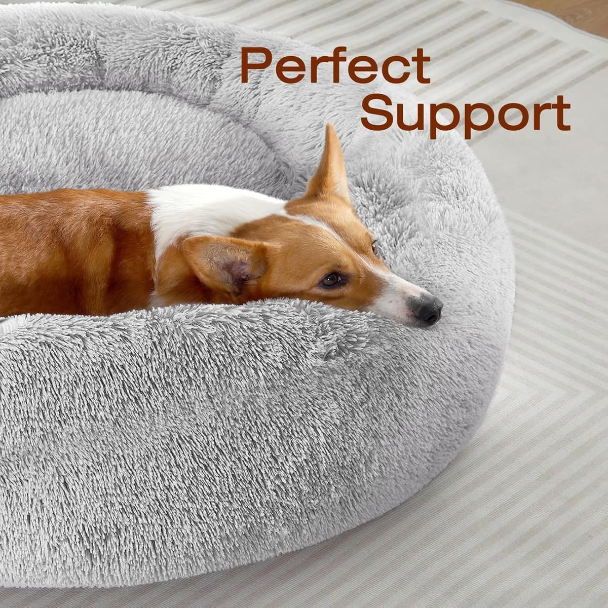 מיטה לכלב קטן — JOLLYVOGUE Dog &amp; Cat Bed, Calming Anti-Anxiety Pet Bed f