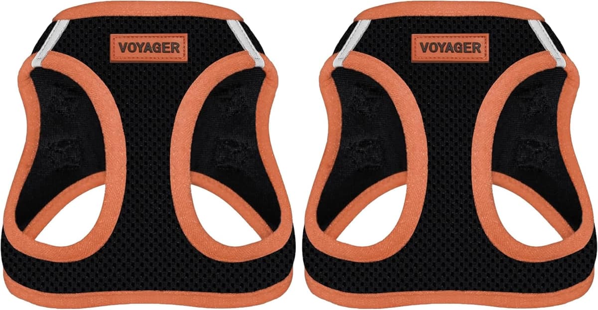 רתמה/רצועה לכלב — Voyager Step-in Air Dog Harness - All Weather Mesh Step in Vest Harness for Smal
