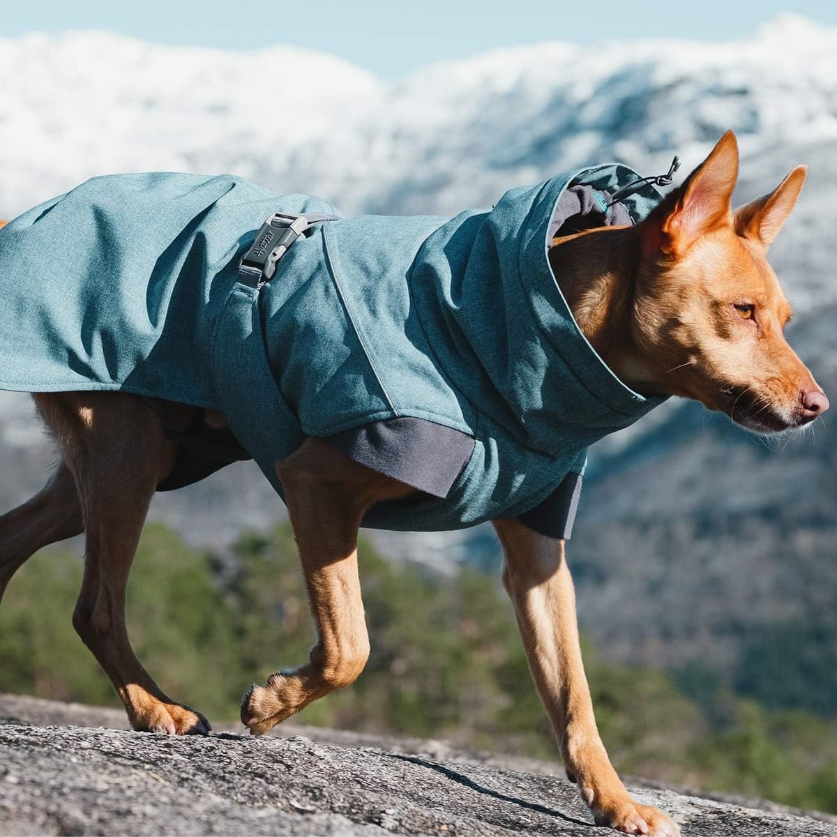 מעיל/ז'קט לכלב — Hurtta Expedition Parka, Winter Dog Coat, Bilberry, 16 in