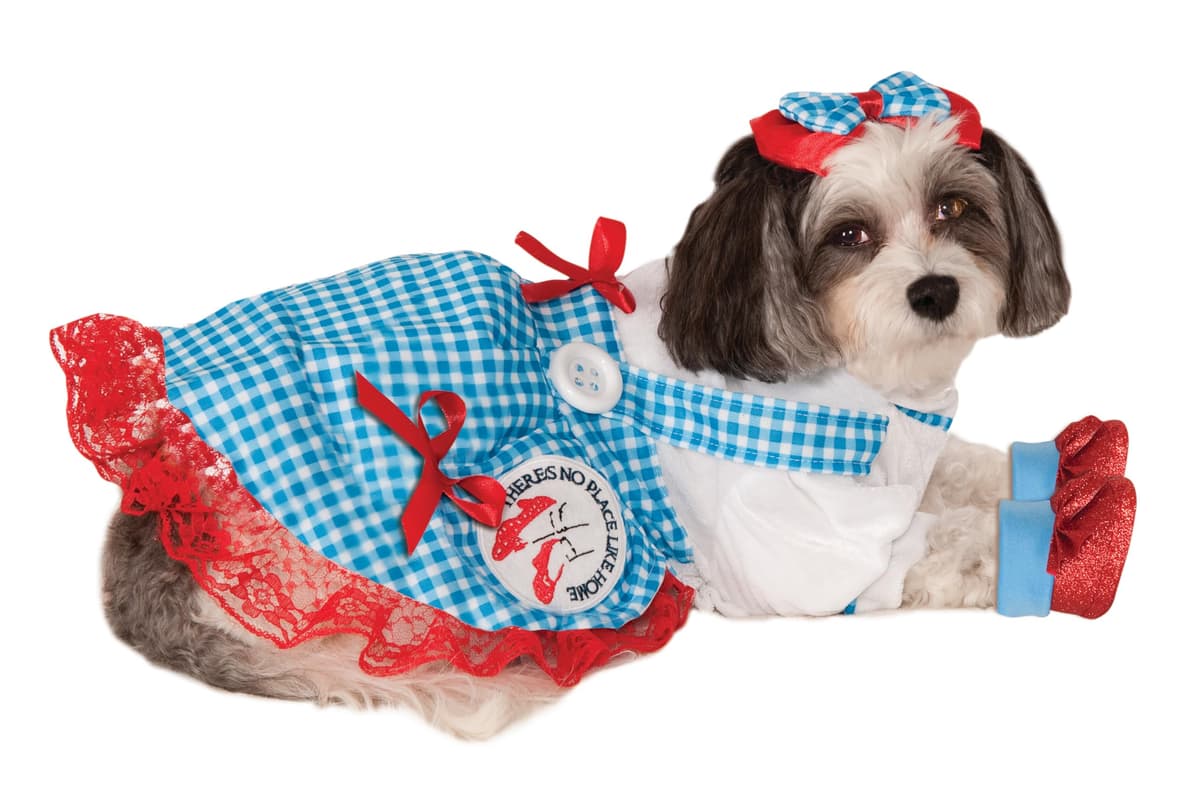תחפושת לכלב — The Wizard of Oz: Dorothy Pet Costume for for Dogs or Cats by Rubies, Medium