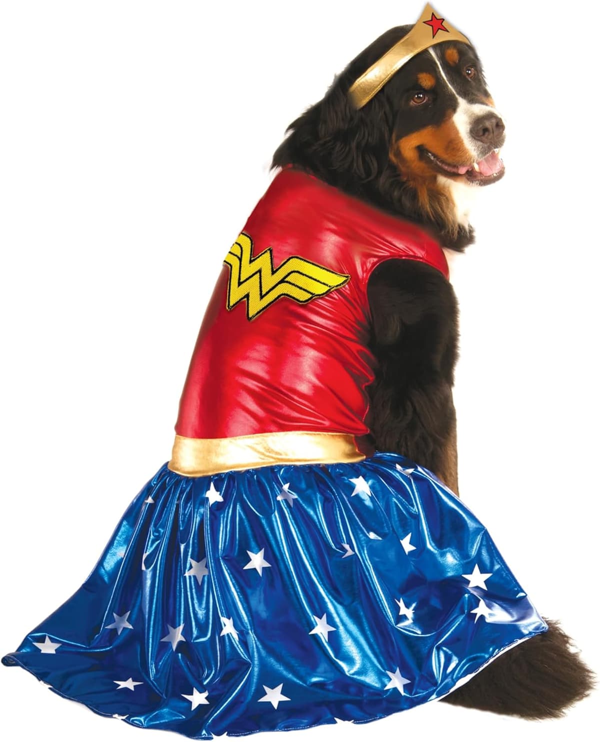 תחפושת לכלב — DC Comics: Wonder Woman Pet Costume for For Dogs or Cats by 