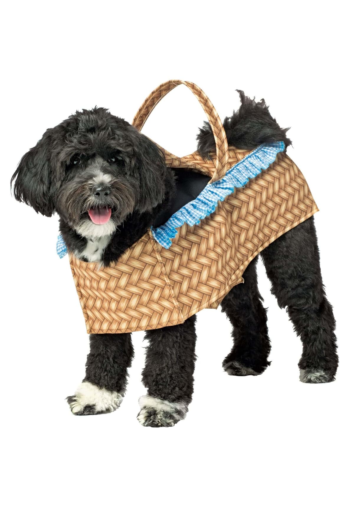 תחפושת לכלב — Rasta Imposta Doggie Basket Pet Costume