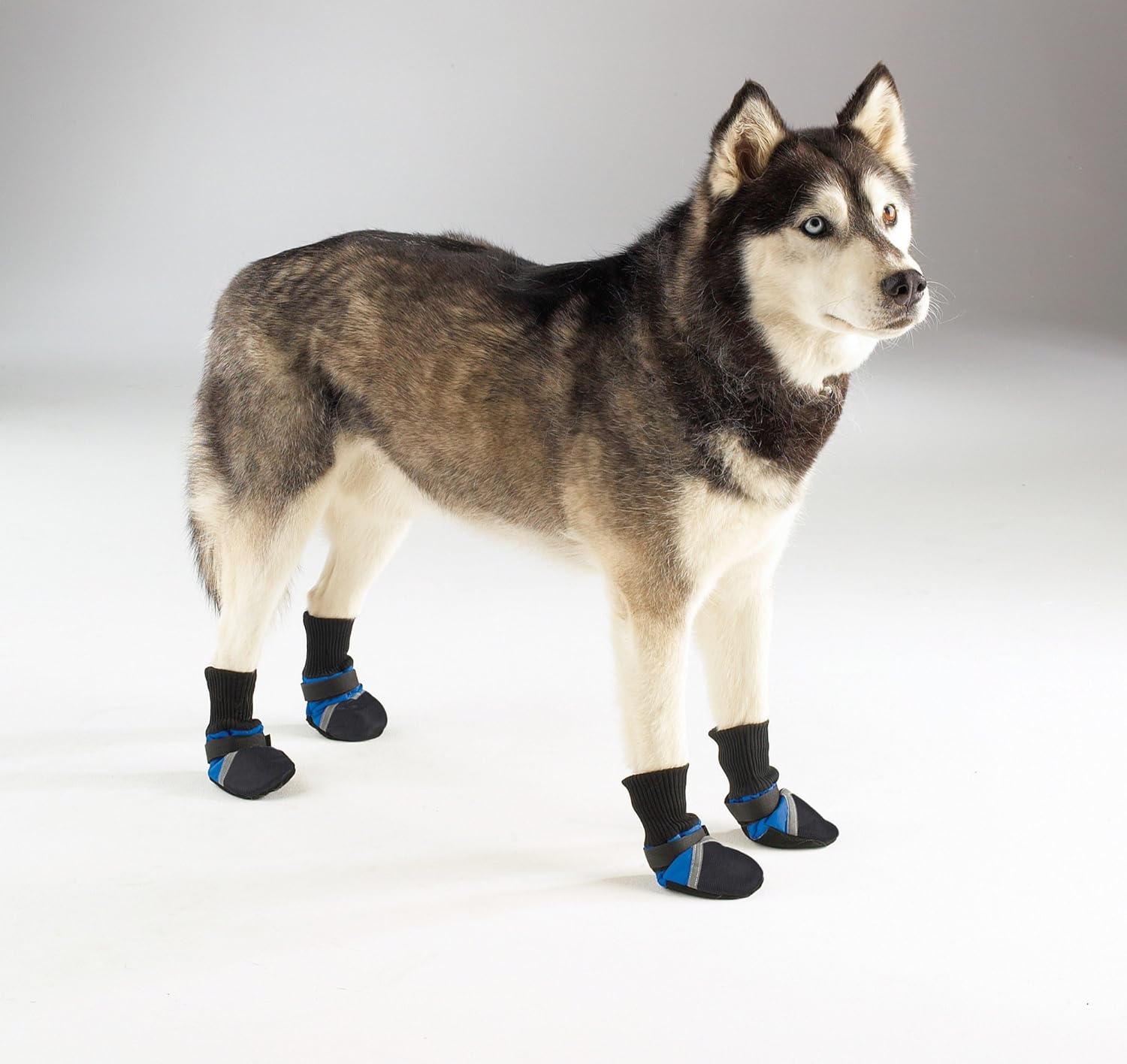 נעליים/מגפיים לכלב — Guardian Gear Oxford Boots for Dogs, Medium, Blue