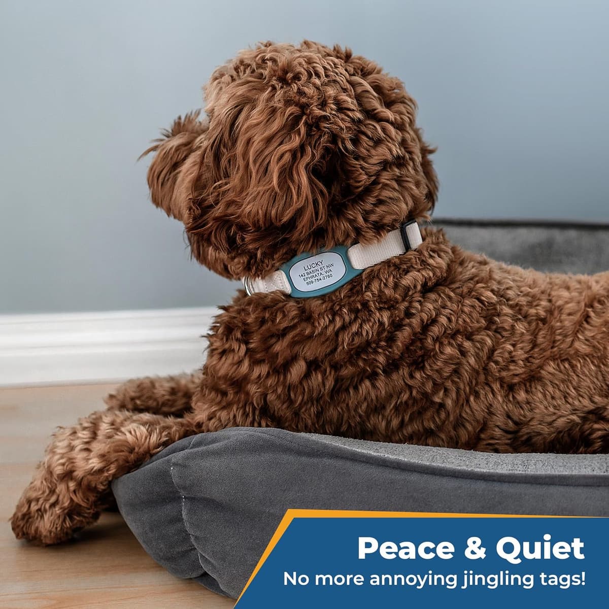 תג שם/זיהוי לכלב — GoTags Silent Dog Tag, Personalized Engraved Silicone and Ca