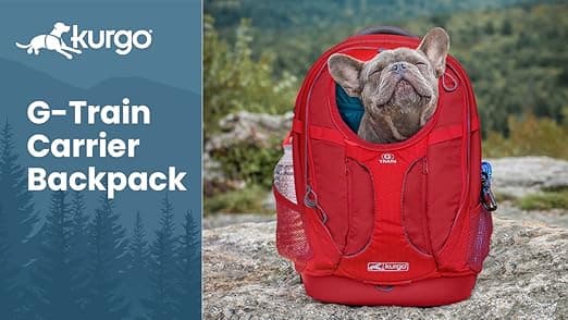 נשאית/תיק לכלב — Kurgo G-Train Dog Carrier Backpack - Comfortable Travel Bag for Pets Up to 25 lb
