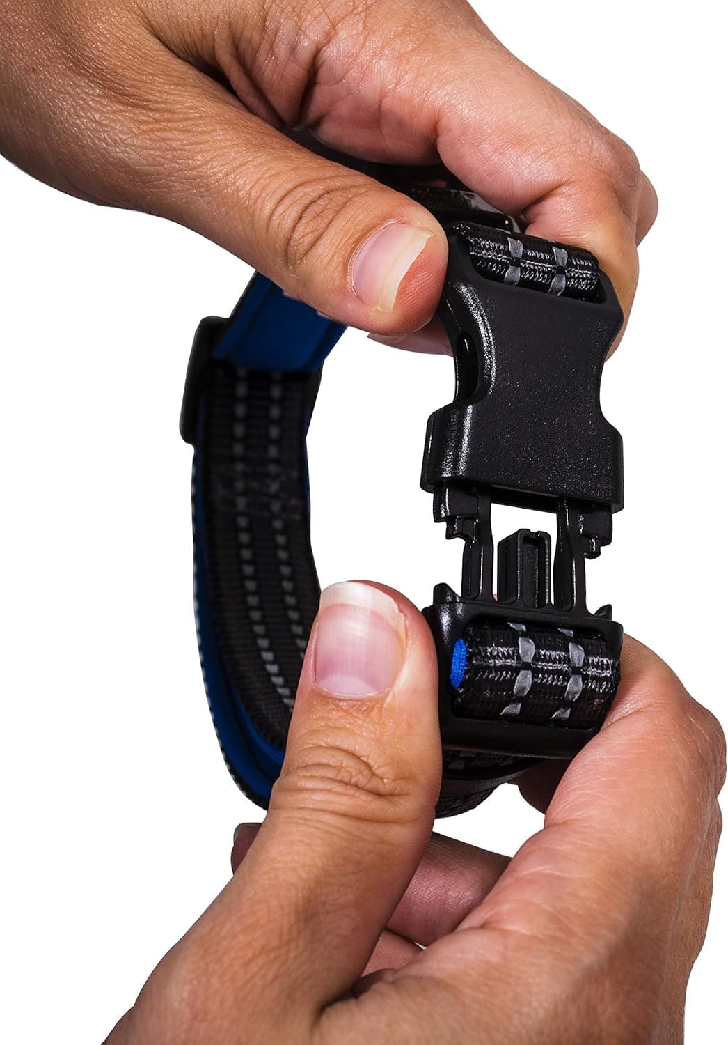 קולר לכלב — Franklin Pet Supply Co. - Nylon Dog Collar - Reflective Comfort - Fit - Neoprene