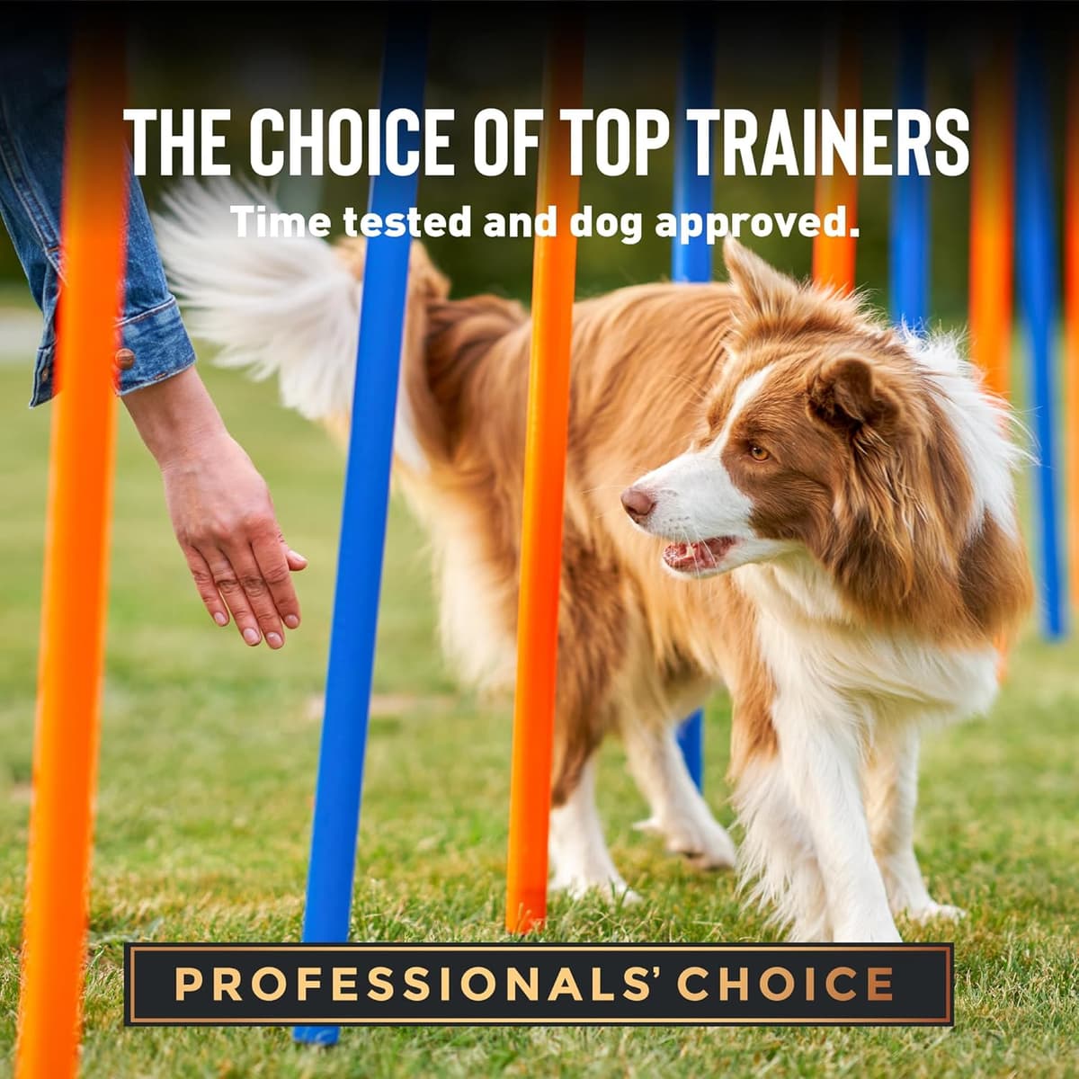 עזר אילוף לכלב — Cloud Star Tricky Trainers Chewy Dog Treats,Salmon,14 oz. Pouch,(Pack of 2)