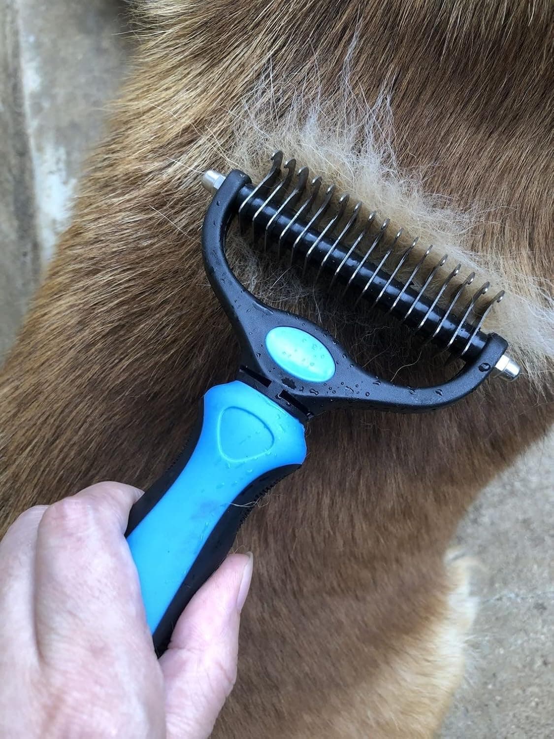 מברשת טיפוח לכלב — Pet Grooming Brush &amp; Nail Clippers Trimmers - Double Sided Shedding and Dema