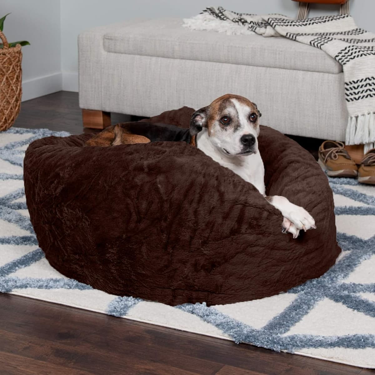 מיטה לכלב גדול — Furhaven Soft &amp; Cozy Dog Bed for Large/Medium Dogs, Refi