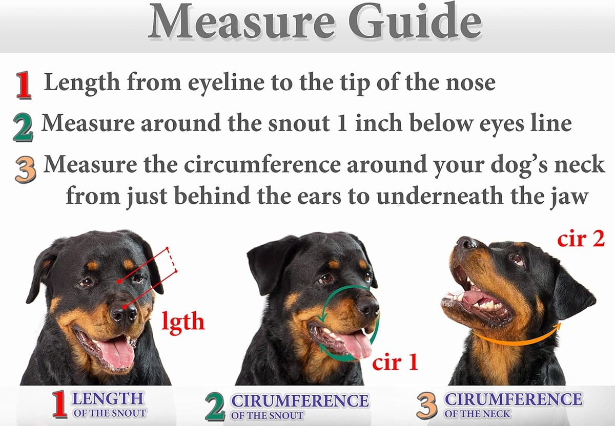 מחסום פה לכלב — Metal Muzzles for Dog Rottweiler № 3 Wire Basket Adjustable Leather Straps Leath