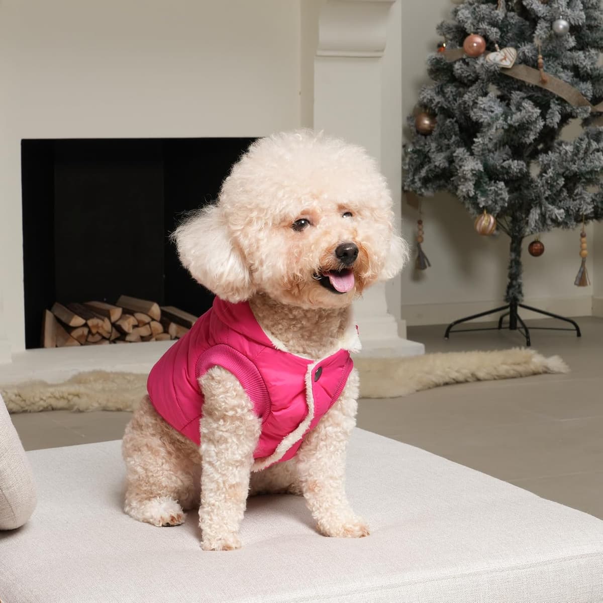 מעיל/ז'קט לכלב — Fleece Lining Extra Warm Dog Hoodie in Winter,Small Dog Jack