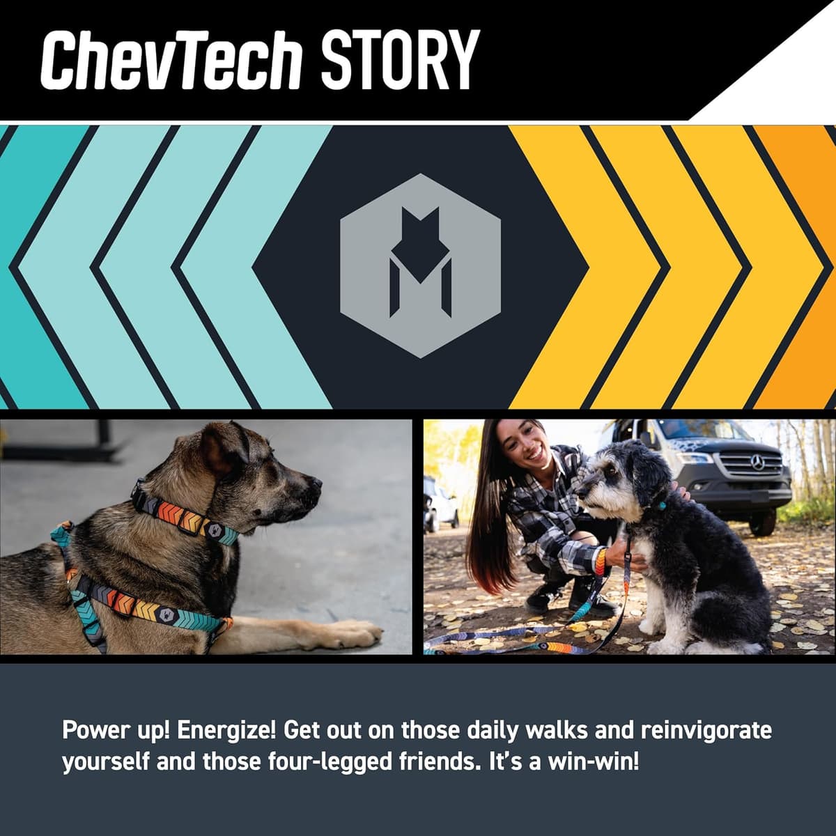 קולר לכלב — Wolfgang Heavy Duty, Adjustable Dog Collar with Quick Release Nylon Buckle for W