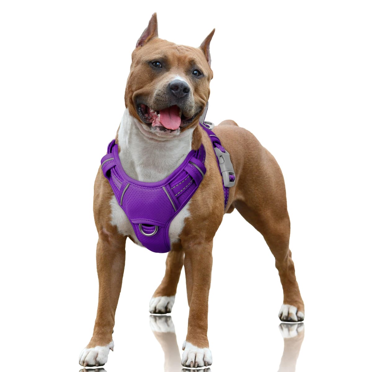 רתמה לכלב — BARKBAY No Pull Dog Harness Large Reflective Dog Harness with Front Clip and Eas
