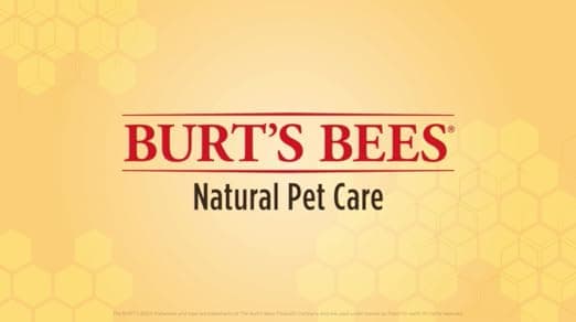 מברשת טיפוח לכלב — Burt's Bees for Pets Double Sided Pin & Hemp Bristle Dog Brush | Best All-Purpos