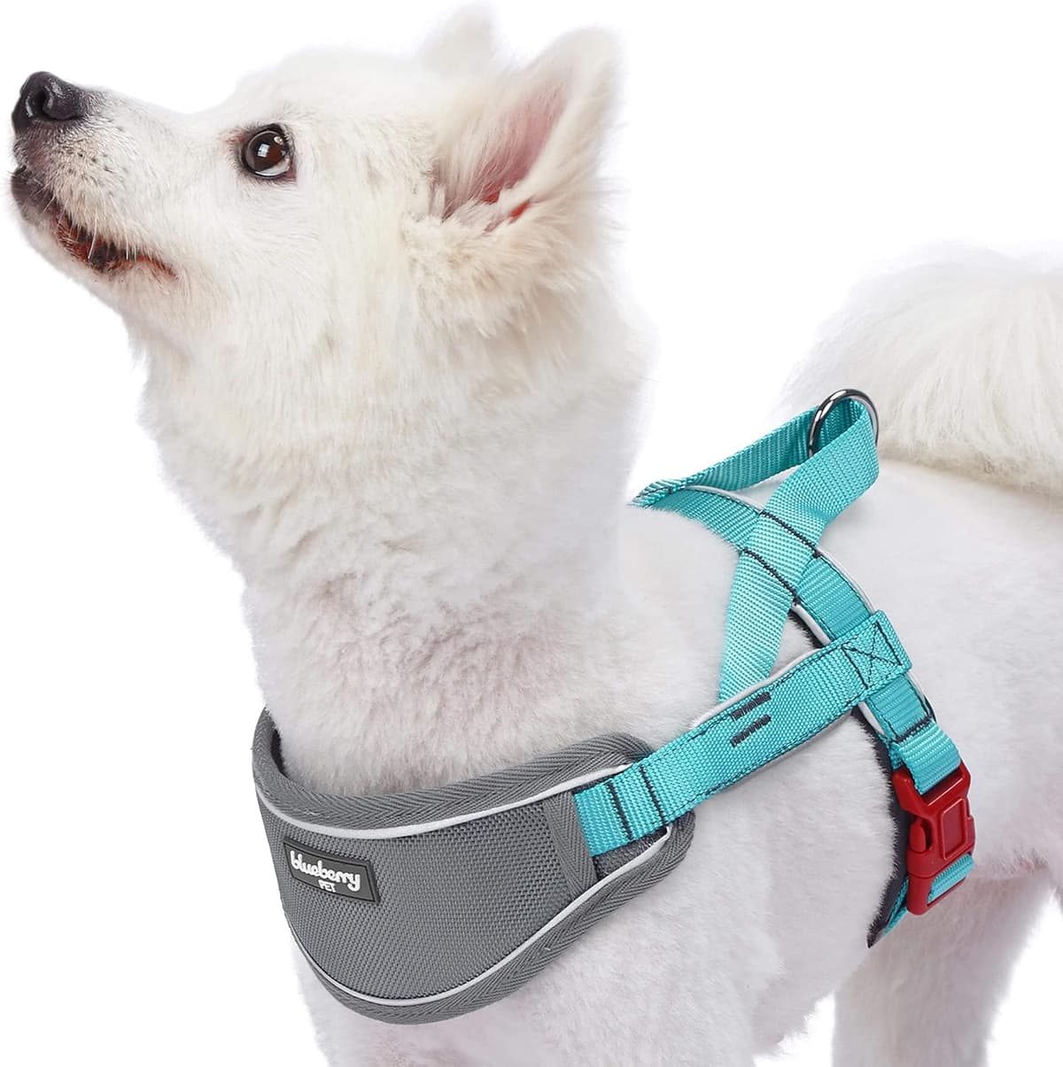 רתמה/רצועה לכלב — Blueberry Pet 8 Colors Soft &amp; Comfy 3M Reflective Strips Padded Dog Harness 