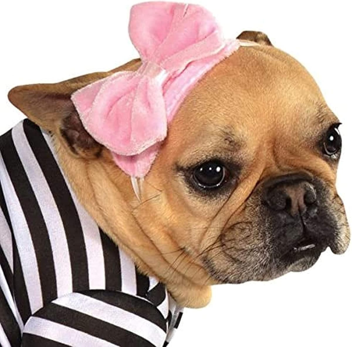 תחפושת לכלב — Rubies Fifties Girl Pet Costume for Dogs or Cats, XL