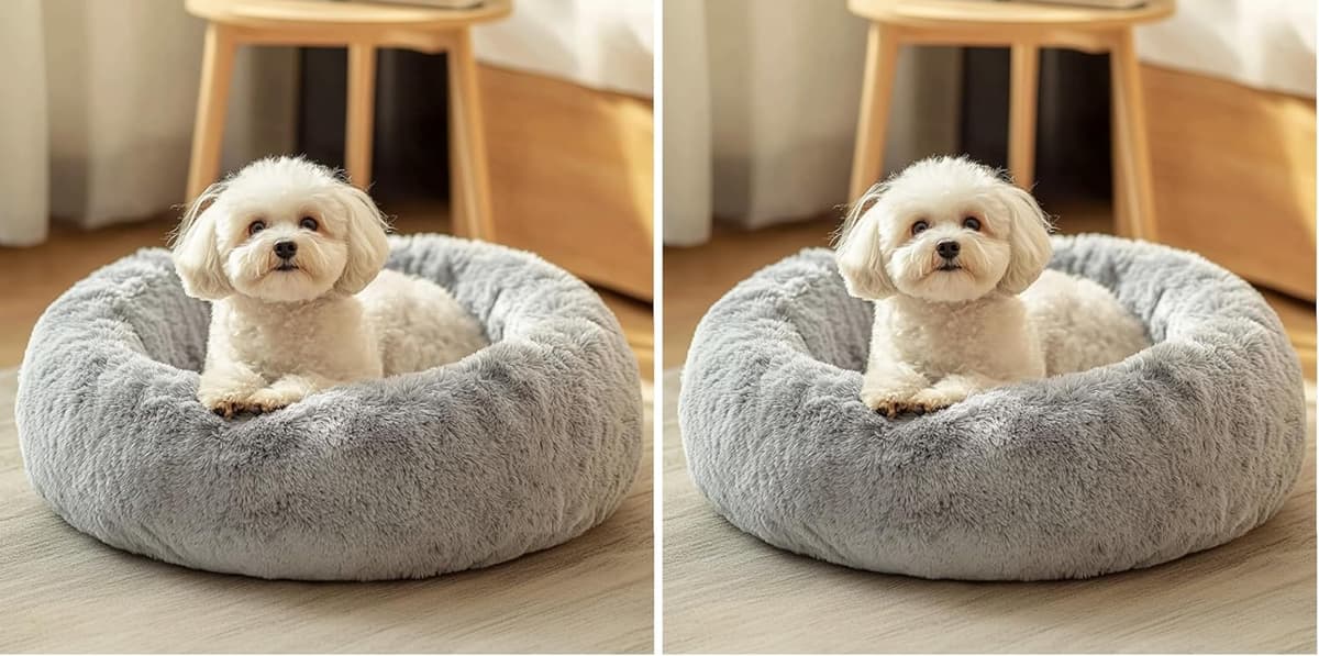 מיטה לכלב קטן — JOLLYVOGUE Dog &amp; Cat Bed, Calming Anti-Anxiety Pet Bed f