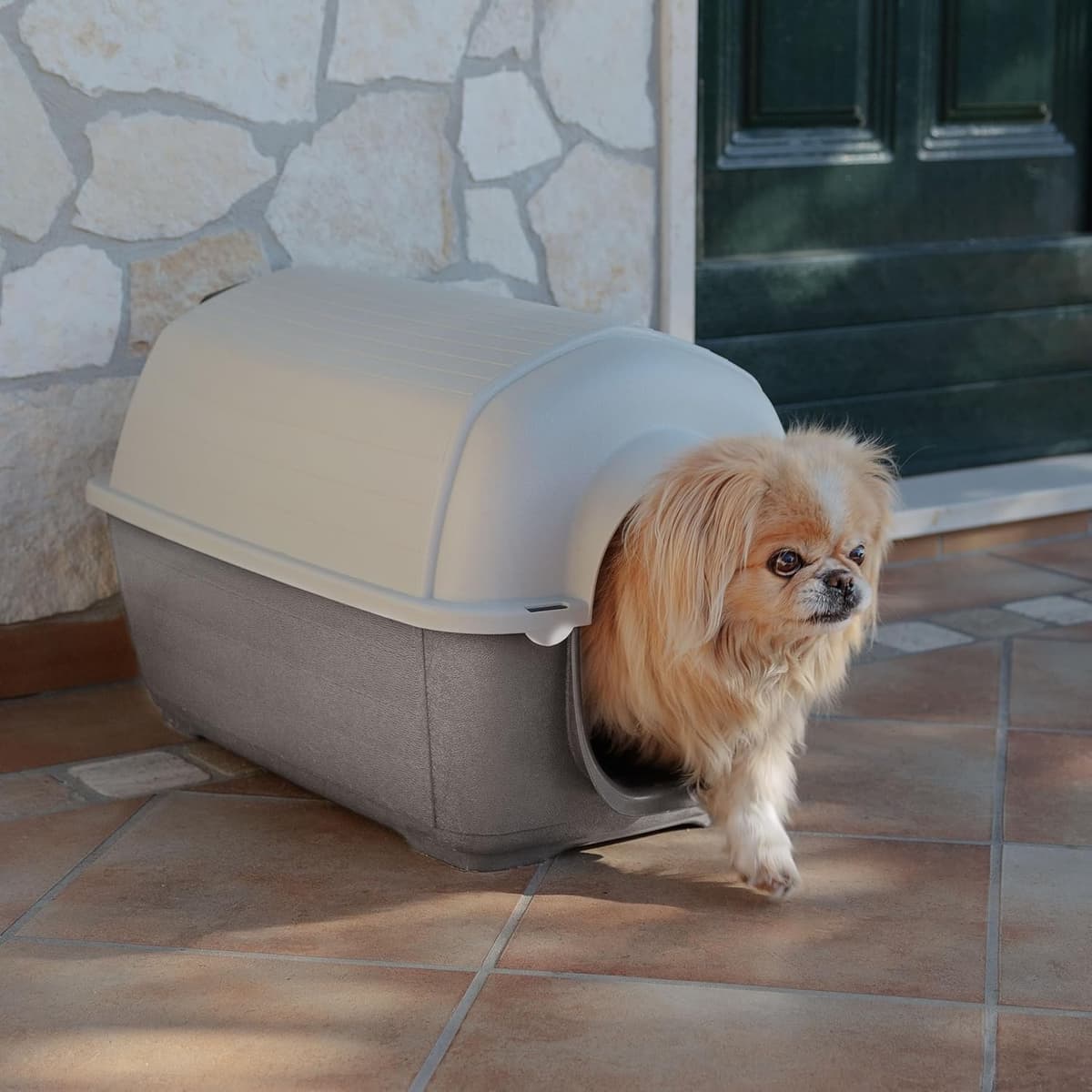 מלונה לכלב — Ferplast Outdoor Dog Kennel Kenny MINI Dog House Made of Imp