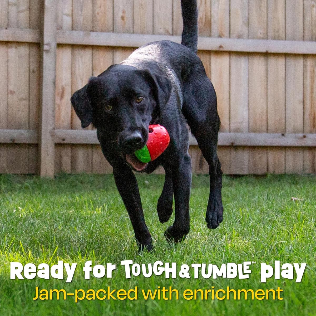 עזר אילוף לכלב — Brightkins Tough &amp; Tumble 2-Piece Strawberry, Enrichment Puppy Essentials, D