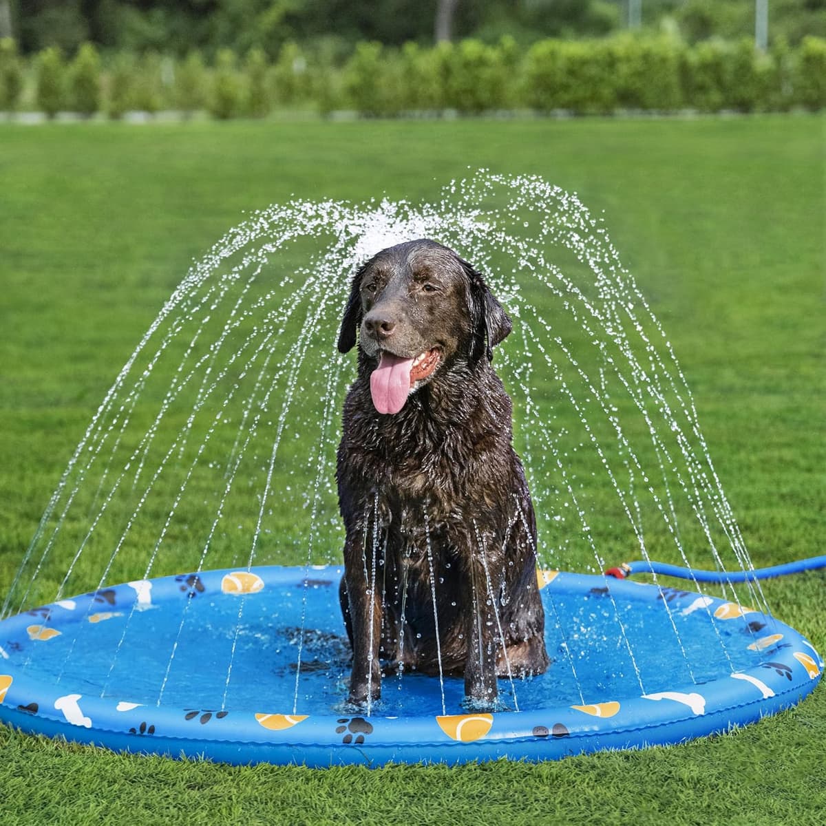 בריכה לכלב — Bestway Dog Splash Pad Sprinkler Mat, Non-Slip Splash Sprinkler Pad for Dogs, Do