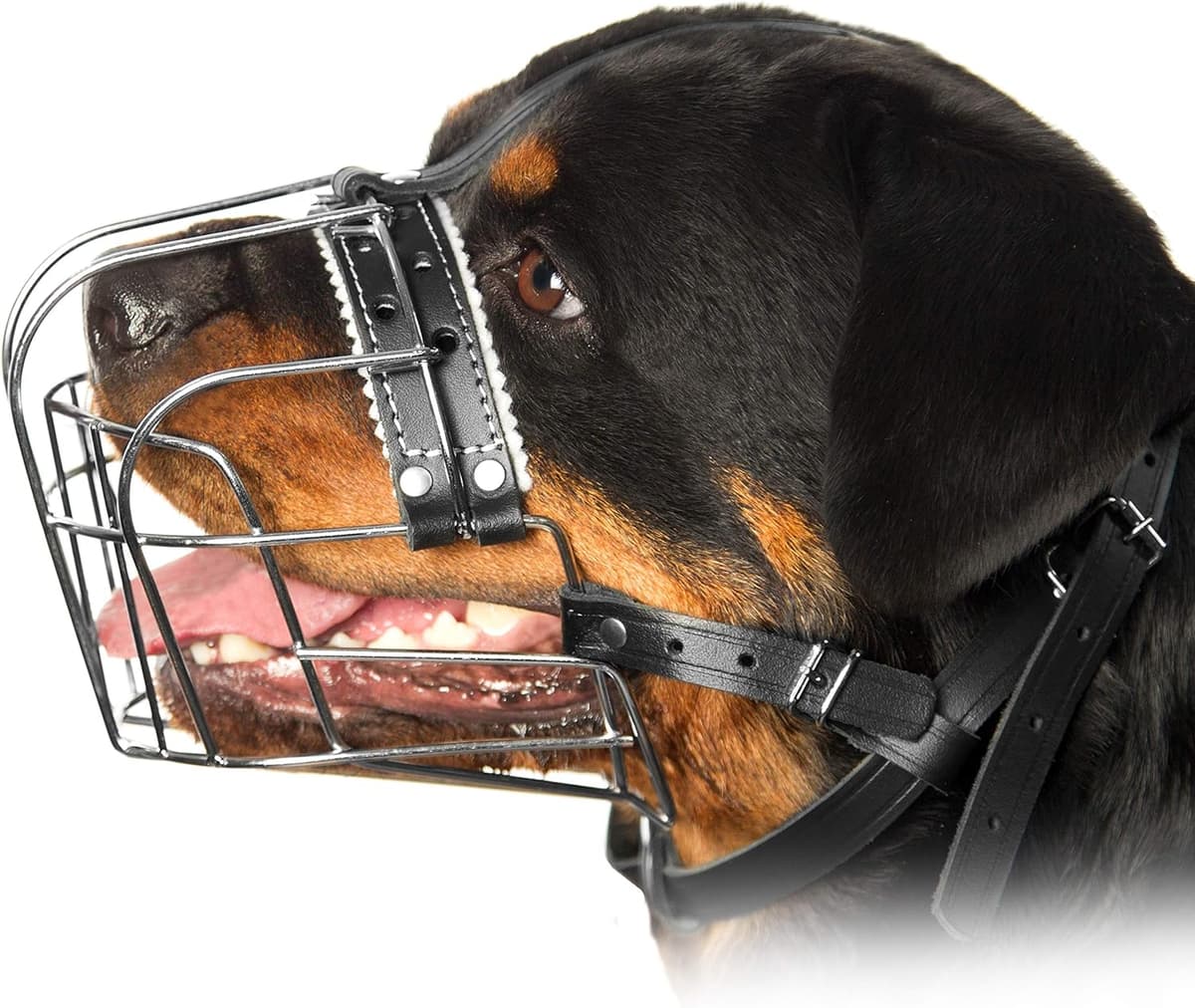 מחסום פה לכלב — Metal Muzzles for Dog Rottweiler № 3 Wire Basket Adjustable Leather Straps Leath