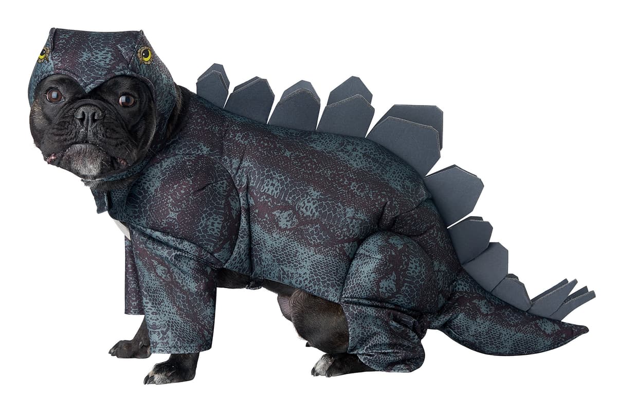 תחפושת לכלב — California Costumes, Stegosaurus Dog Costume Medium