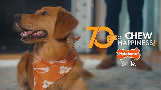 צעצוע חשיבה לכלב — Nylabone Knuckle Bone Pop-in Treat Toy Puppy Chew Toy for Puppies, Interactive T