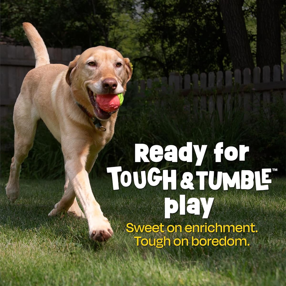 עזר אילוף לכלב — Brightkins Tough &amp; Tumble 2-Piece Watermelon, Enrichment Puppy Essentials, D