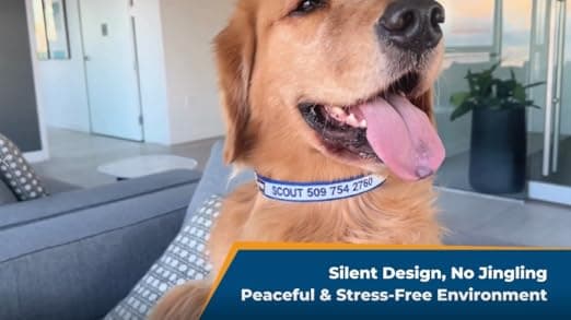 קולר לכלב — GoTags Reflective Personalized Dog Collar, Custom Embroidered with Pet Name and 