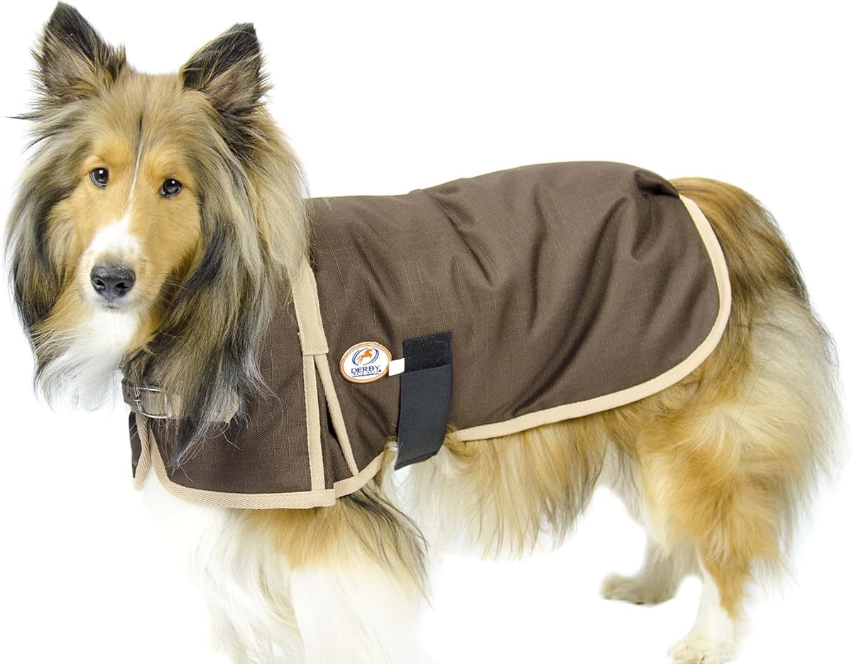 מעיל/ז'קט לכלב — Derby Originals 1200D Winter Dog Coat Horse-Tough Ruff Pup 1