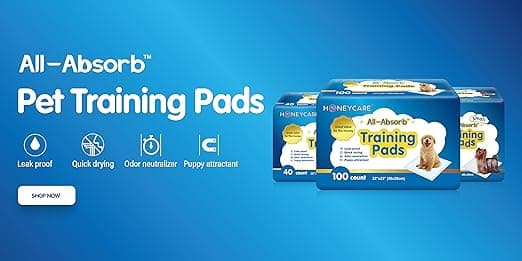 פד לכלב — HONEY CARE All-Absorb A07 Bulk Packaging Training Pads, Blue, Large - 22" x 23" 
