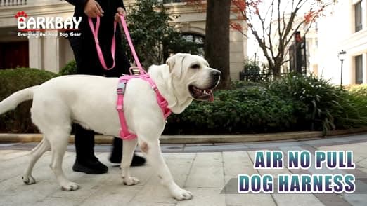 רתמה לכלב — BARKBAY No Pull Dog Harness Large Reflective Dog Harness with Front Clip and Eas