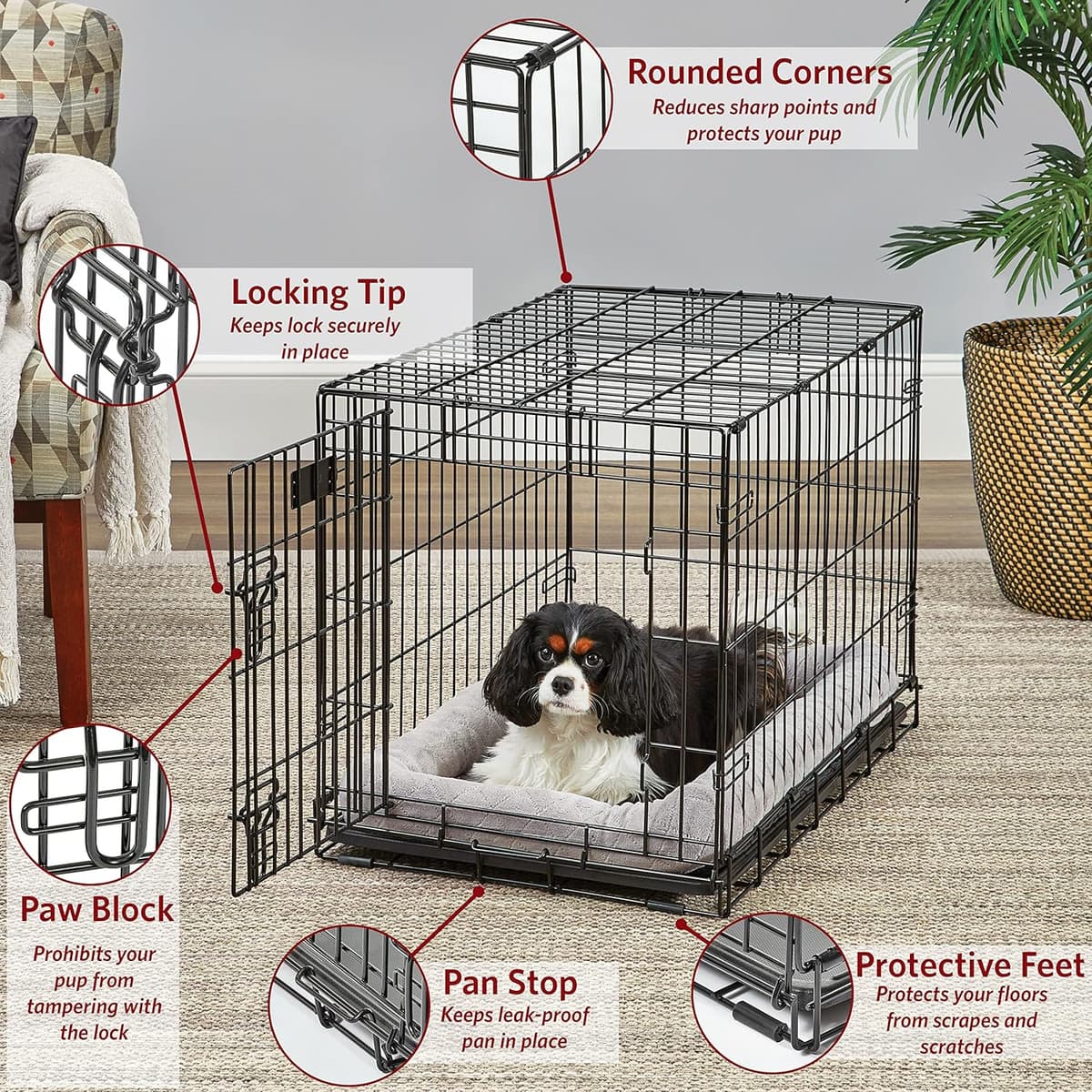 כלוב/כלייה לכלב — MidWest Homes for Pets 30-Inch LifeStages Crate for Medium Breeds, 21-40 lbs, Do