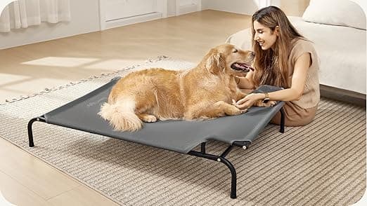 מיטה לכלב גדול — Sweetnight Elevated Dog Bed with Headrest for Large Dogs | Waterproof Raised Dog