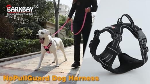 רתמה לכלב — BARKBAY No Pull Dog Harness Front Clip Heavy Duty Reflective Easy Control Handle