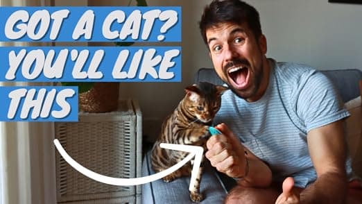 עזר אילוף לכלב — ALBERT & MIA Cat Clicker Training Kit + The Click Crusade Bundle (Cat Training C
