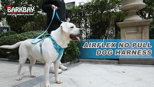 רתמה לכלב — BARKBAY Dog Harness No Pull with ID Tag Pocket - Heavy Duty, Reflective, Easy Co