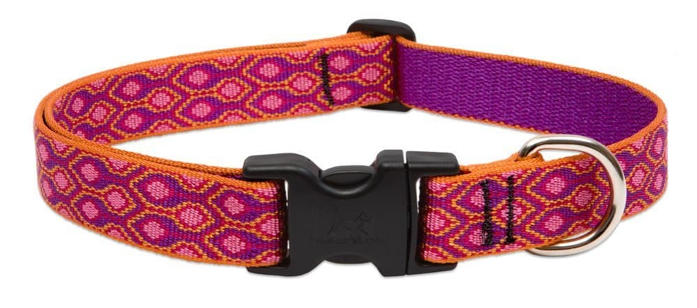 קולר לכלב — LupinePet Originals 1" Alpen Glow 12-20" Adjustable Collar for Medium and Larger