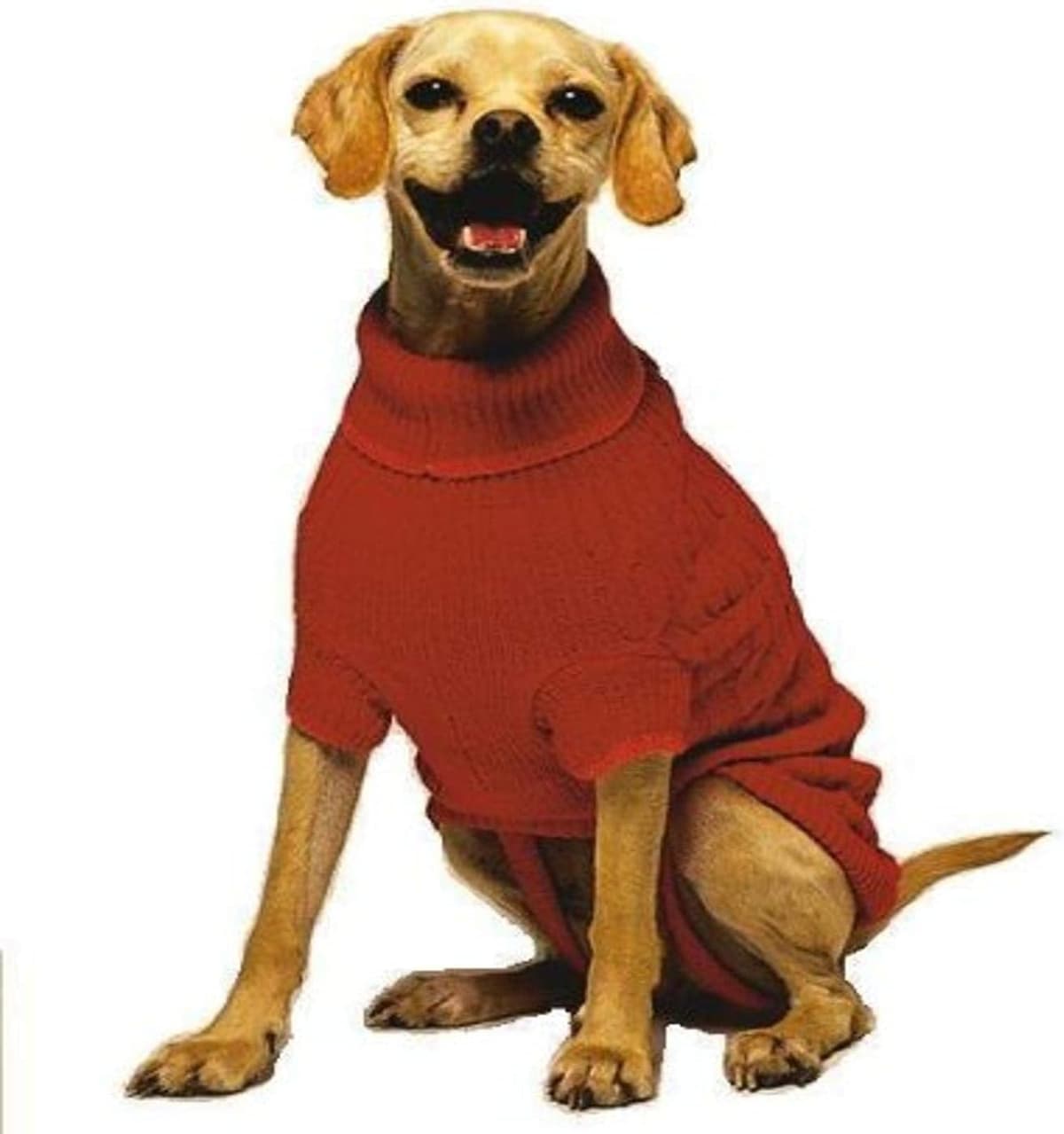 ביגוד לכלב — SPOT Ethical Products Fashion Pet Classic Cable Sweater | Do