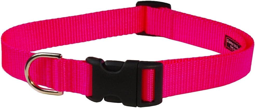 קולר לכלב — Medium Neon Pink Nylon Webbing Dog Collar: 3/4" Wide, Adjusts 13-20" - M