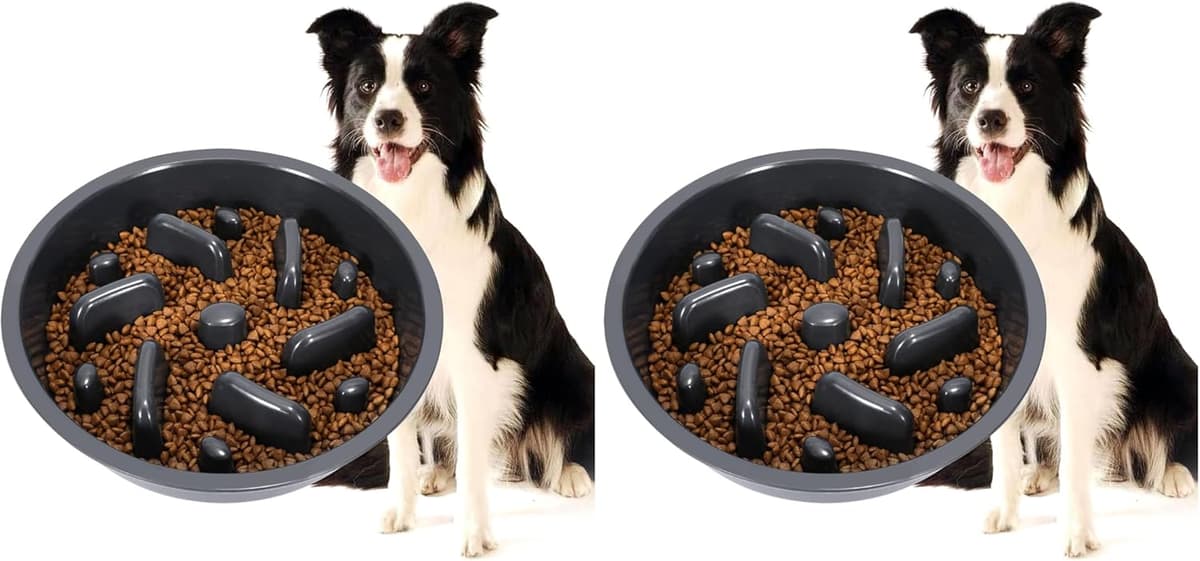קערת האכלה לכלב — JASGOOD Largr Dog Slow Feeder Bowl - Reduce Slip Puzzle Bowl for Elevated Diners
